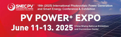 SNEC PV Power+ Expo